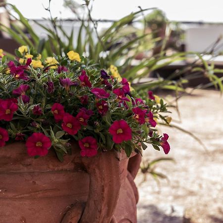 B&B Al Vecchio Forno Montepulciano Stazione Dış mekan fotoğraf